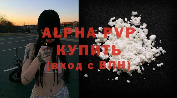 гашик Абаза